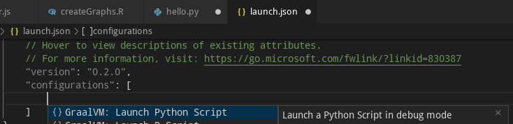 Python Launch Configuration