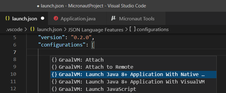 Special Launch Native Image Agent & Java 8+ configuration