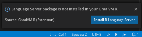 No R Language Server