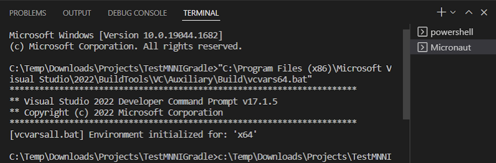 Native Micronaut Command Prompt in VS Code on Windows