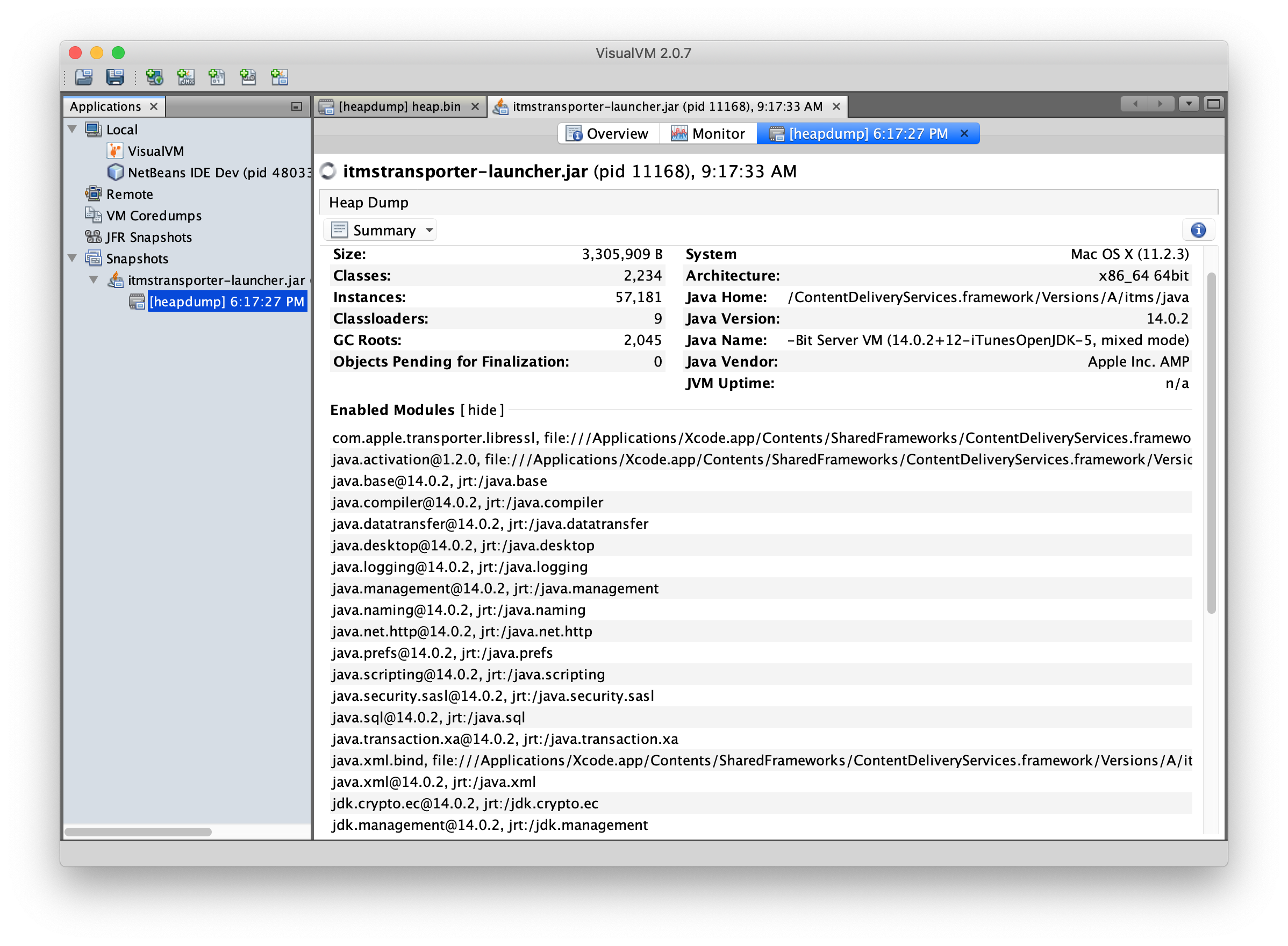 VisualVM dispay list of enabled modules in heap dumps