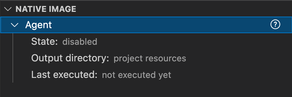 VS Code: Add Native Image Agent Panel